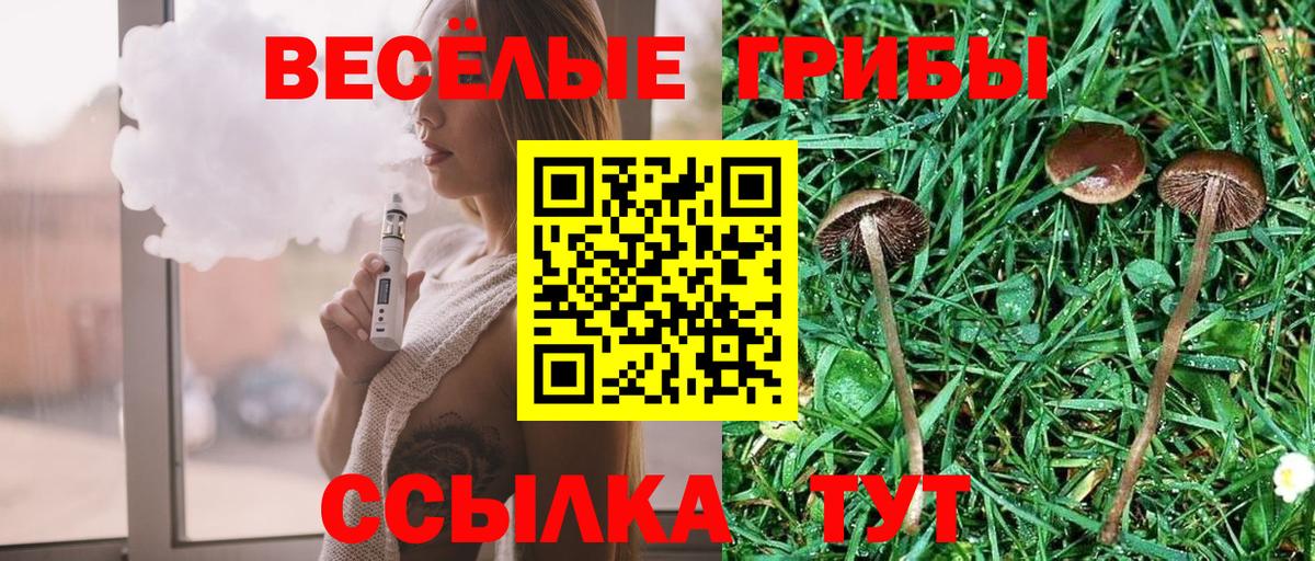 Галлюциногенные грибы мухоморы  Вход с VPN  Гулькевичи 
