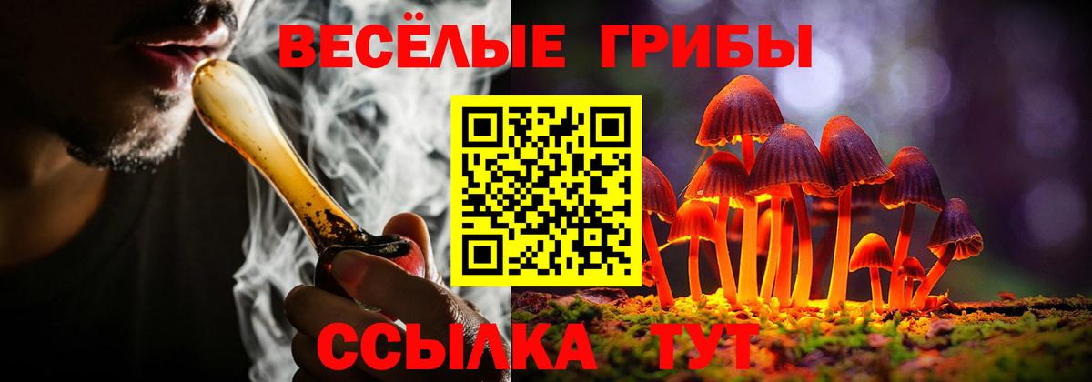 Галлюциногенные грибы Psilocybine cubensis Гулькевичи